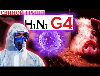  -   (H1N1)